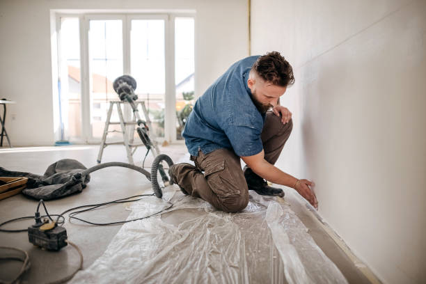 Best Fire-Damaged Drywall Repair  in Bement, IL